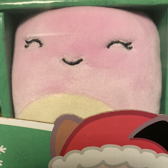 NEW 2022 Squishmallows
Holiday Winter Collection,
6 pack Ornaments - Picture 6 of 10